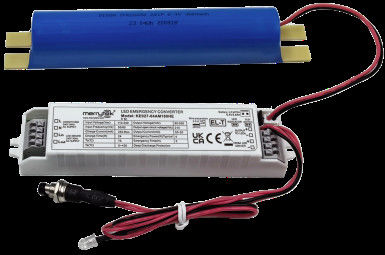 2W batterie LiFePO4 de 3 heures Conducteur LED d'urgence avec batterie Test automatique et auto-test Optionnel avec garantie de 5 ans